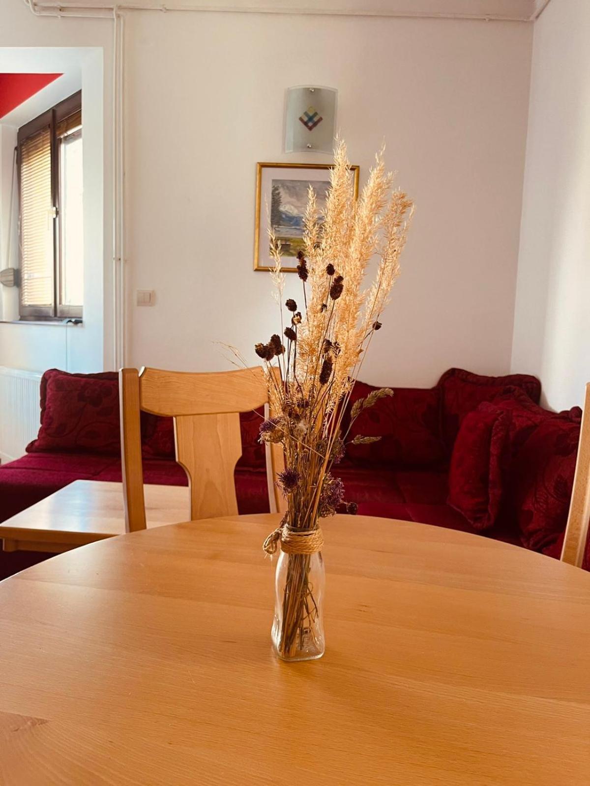 Hill Durmitor Apartment Zabljak  Bagian luar foto